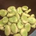 まいちい328's cooksnap of when they made 美味しいそら豆の茹で方.