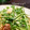 bobitin's cooksnap of when they made もやしと水菜♪マスマヨほたてサラダ.