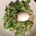ハナレメ５５'s cooksnap of when they made 水菜とエリンギとツナのサラダ.