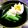 レモンジャ's cooksnap of when they made スナップえんどうの粒マスタード和え.