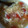 tairu12's cooksnap of when they made スイカの皮のあっさり卵スープ♪.