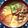 うさこママ★'s cooksnap of when they made 大根いり肉うどん.*゜.