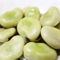 kzsugiura's cooksnap of when they made 美味しいそら豆の茹で方.