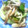yukapiii's cooksnap of when they made ちくわとチンゲンサイのオイスターソース炒め.