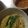 どんぐりぱん's cooksnap of when they made マルちゃん正麺で作る辛酸胡麻つけ麺♪.