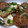ゆみつぺ's cooksnap of when they made 簡単激ウマ！長芋のバターチーズ焼き！.