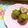 puremuria's cooksnap of when they made お花見に❀抹茶と粒あんの和風プチケーキ.