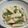ayaukir's cooksnap of when they made 長芋のしそゆかりポン酢和え.