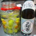 ノリサン's cooksnap of when they made 焼酎にこだわった梅酒.