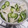 hozunyam's cooksnap of when they made ＊きゅうりと大根の酢の物＊*.