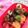 ☆ayumikan☆'s cooksnap of when they made デコ弁‼カエル君弁当.
