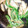 みみー！'s cooksnap of when they made ✾人参とピーマンのマスタード和え✾.