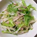 ほりちえ's cooksnap of when they made 大根と水菜のサラダ.