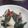 Apple_Home's cooksnap of when they made 地ダコとワカメの辛子味噌和え.