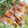 Apple_Home's cooksnap of when they made 生ハムの柿大根.