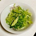 harunattoh's cooksnap of when they made ☆やみつきレタスサラダ☆.