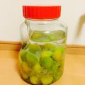 Noahgoro's cooksnap of when they made 梅酒 簡単ﾚｼﾋﾟ.