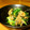 ゆでたまごのきみ's cooksnap of when they made にらと舞茸のオイスターソース炒め.