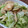 たそうママ's cooksnap of when they made 簡単☆とろっと鶏肉と春キャベツの炒め物.