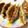 tomonatstu's cooksnap of when they made 餃子.
