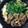 姫ねぇさま's cooksnap of when they made 実家の味★　簡単割り下　我が家のすき焼き.