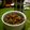 にゃんきき's cooksnap of when they made ざぜ豆.