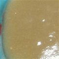 てつにゃー's cooksnap of when they made 新玉ねぎだけで！あまーいポタージュ.