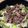 weeta_bix's cooksnap of when they made 白菜のすき焼き風煮.