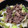 weeta_bix's cooksnap of when they made 白菜のすき焼き風煮.