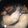 kokoli's cooksnap of when they made ゆでトリ*写真追加*.