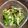 コバミツ's cooksnap of when they made セロリと青シソと塩昆布の浅漬け風サラダ.