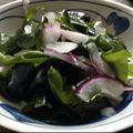 ありちゃんです's cooksnap of when they made 便秘解消レシピ☆新玉ねぎとワカメのサラダ.