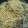 saly_san's cooksnap of when they made ツナとみずなの和風パスタ.