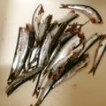 マカロン助's cooksnap of when they made 簡単☆こいわしのさばき方.