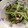 はぁ♡'s cooksnap of when they made ツナと水菜を炒めたよ♫簡単もう一品.