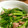 MofeMofee's cooksnap of when they made 砂肝と空芯菜（エンサイ）のサッと炒め.