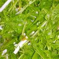 大村農園の嫁's cooksnap of when they made ＊水菜と長いもの梅肉ポン酢和え＊.