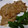 猫のミイヤ's cooksnap of when they made 生姜焼き　簡単おいしい！　まな板不要！.