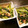 みかち♪'s cooksnap of when they made 小松菜と鮭の胡麻和え.