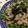 megu_vega's cooksnap of when they made 豚バラのさっぱり塩レモン丼.