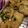mocoにゃ♪'s cooksnap of when they made パリ★フワ★ぷり★エビ春巻き♡.