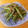 いけめがね's cooksnap of when they made いんげんの胡麻おかか和え.