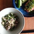 宮田小豆's cooksnap of when they made 週末漁師のブリのたたき イナダワラサでも.