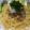 kucina's cooksnap of when they made ✿大根おろしとツナの和風パスタ✿.