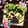 きなこ0711's cooksnap of when they made きくらげコリコリ♪ニラたま.