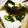 ＊みりあ＊'s cooksnap of when they made ☆チン湯豆腐☆.