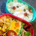 さくらん餅's cooksnap of when they made キャラ弁　めっちゃ簡単でっか！キティ✿.