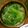 mogu2sana's cooksnap of when they made ニラもやしの味噌汁♡.