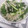 hozunyam's cooksnap of when they made 大根ときゅうりとほうれん草のナムル.