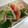 りんばたまま's cooksnap of when they made たたききゅうり・みょうが・蟹かまの酢の物.